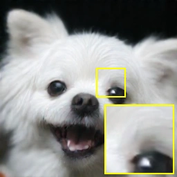 Motion deblur, FMRG at 3 NFEs
