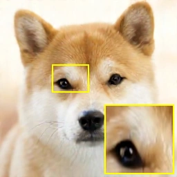 Super-resolution, FMRG at 12 NFEs